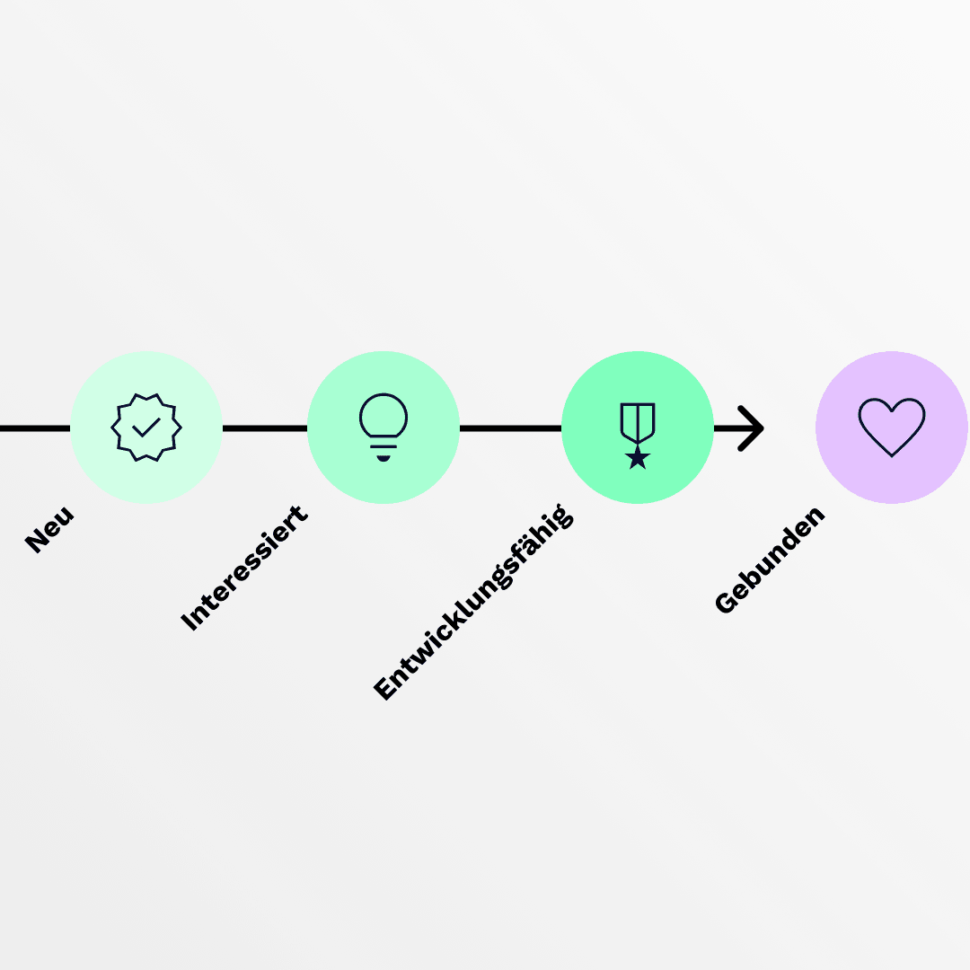 Lifecycle Strategy || null