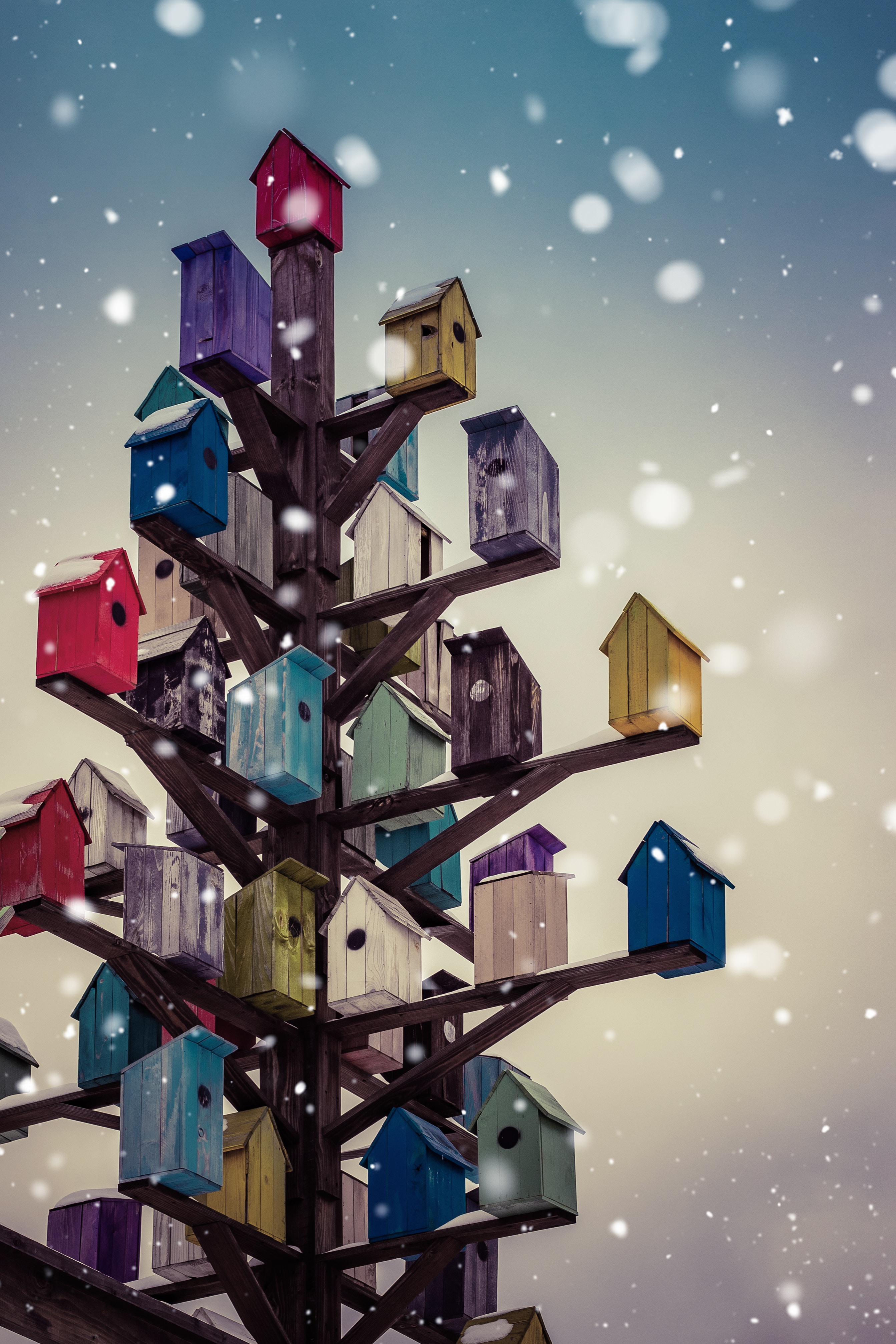 the-nigmatic-9JdwGJED-g8-unsplash Adventskalender: Fundraising-Maßnahmen zu Weihnachten